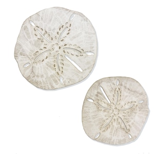 May include: Two white sand dollar wall decor pieces with a raised, detailed starfish design.