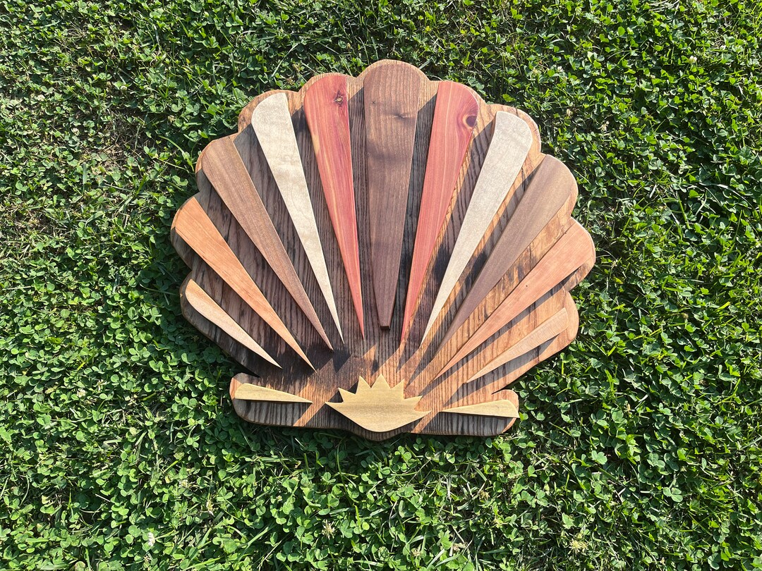 Sea Shell Wood Pattern Mixed Woods Ocean Seashell Design - Etsy
