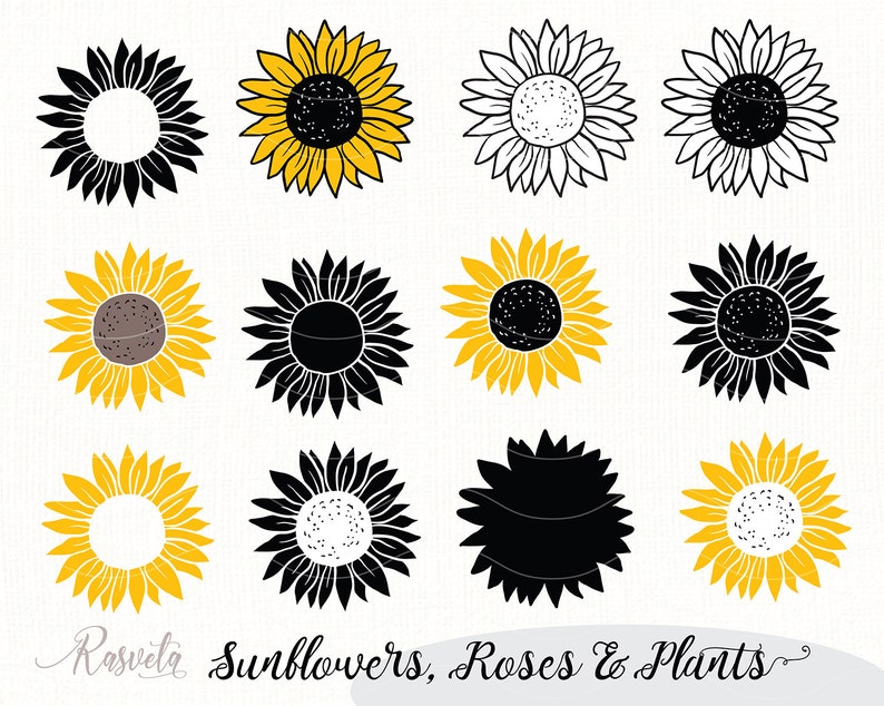 Download Sunflower Monogram Frames Sunflower doodle Sunflower ...