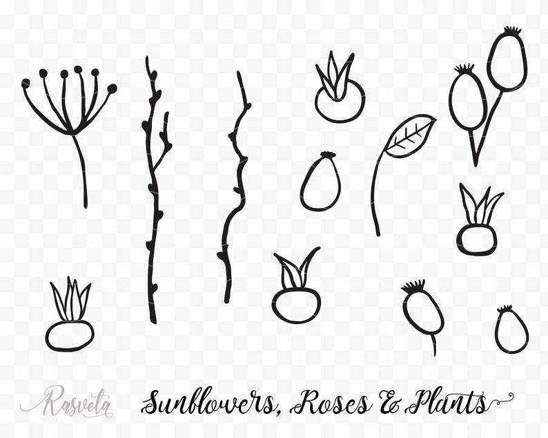 Download Sunflower Monogram Frames Cutting Files Sunflower Clipart ...