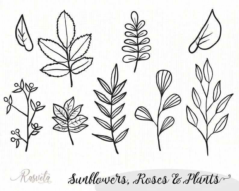 Download Sunflower Monogram Frames Cutting Files Sunflower Clipart ...
