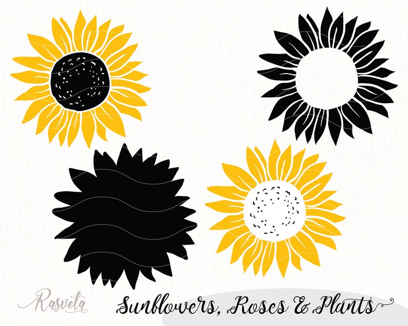 Download Sunflower Monogram Frames Sunflower doodle Sunflower ...
