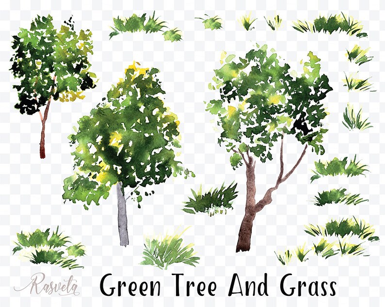 Green Tree and Grass Clipart Hand Painted Trees Shrubs // Etsy