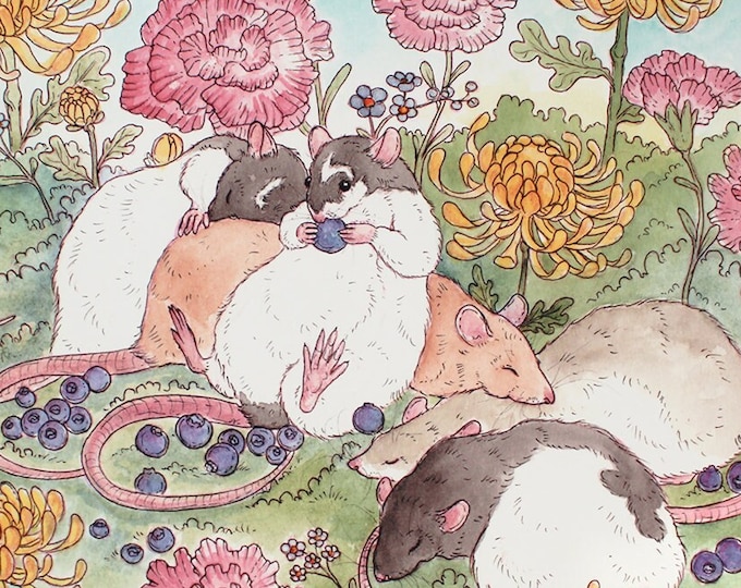 Rat Art Print Rats Sleeping in a Field of Flowers 8x10 inches