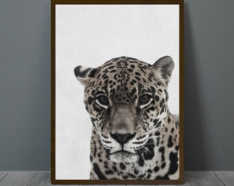 Jaguar Print, Jaguar Wall Decor, Jaguar Poster, Jaguar, Animal Print Wall Decor, Printable Jaguar Wall Art