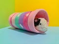 Guinea pig Fleece Round Tunnel (stays open) product logo