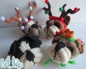 bulldog knitting pattern