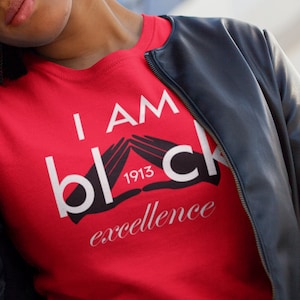 Delta Sigma Theta Shirt | Black Excellence Delta| DST| Greek T Shirts |Delta Sigma Theta Sorority Tshirt