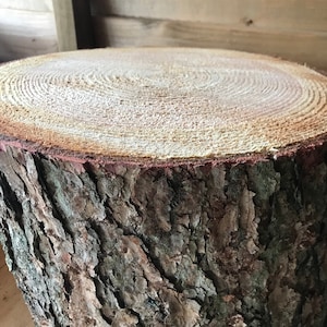 Large 14" log stump, garden rustic feature or cake stand 10" high, centrepiece