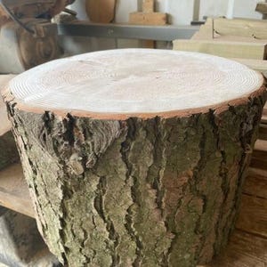 May include: A cylindrical wood log slice featuring a light-coloured, smooth, sanded top surface with visible concentric growth rings. The exterior side of the log is covered in thick, textured, brown and green bark with deep vertical fissures.