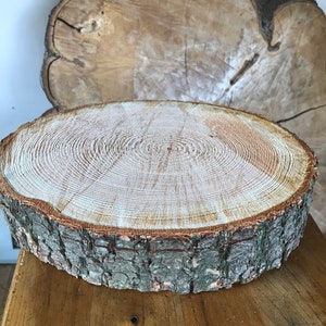 May include: A round wooden slice with a natural bark edge. The wood is light brown with visible grain patterns. The slice is ideal for crafting or decorating.
