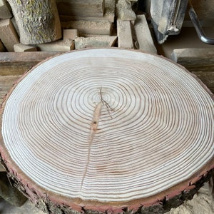 May include: A close-up of a large, round wooden slice with visible growth rings. The wood is light brown with a reddish-brown bark edge.