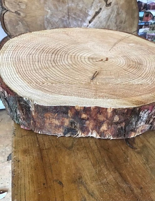 Axe Throwing Target Practice Log Rings, Imperfect Log Rings, Various ...