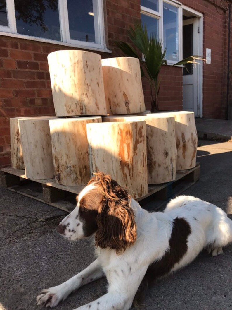 Wooden log stool, side table, pub stool, available natural or oiled finished, made to order image 9