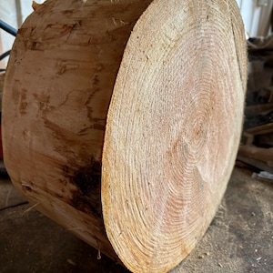 May include: A cylindrical piece of raw, light brown wood log with a visible cross-section showing concentric growth rings. The exterior bark is partially removed, revealing a textured, fibrous surface with natural wood grain patterns and light tan tones.