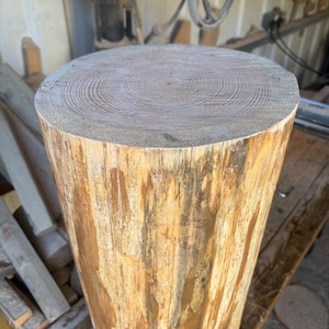 May include: A cylindrical wooden stump with a flat, circular top showing concentric growth rings. The sides of the stump have a rough, textured appearance with varying shades of brown and tan. The stump is likely used for woodworking or as a decorative element.