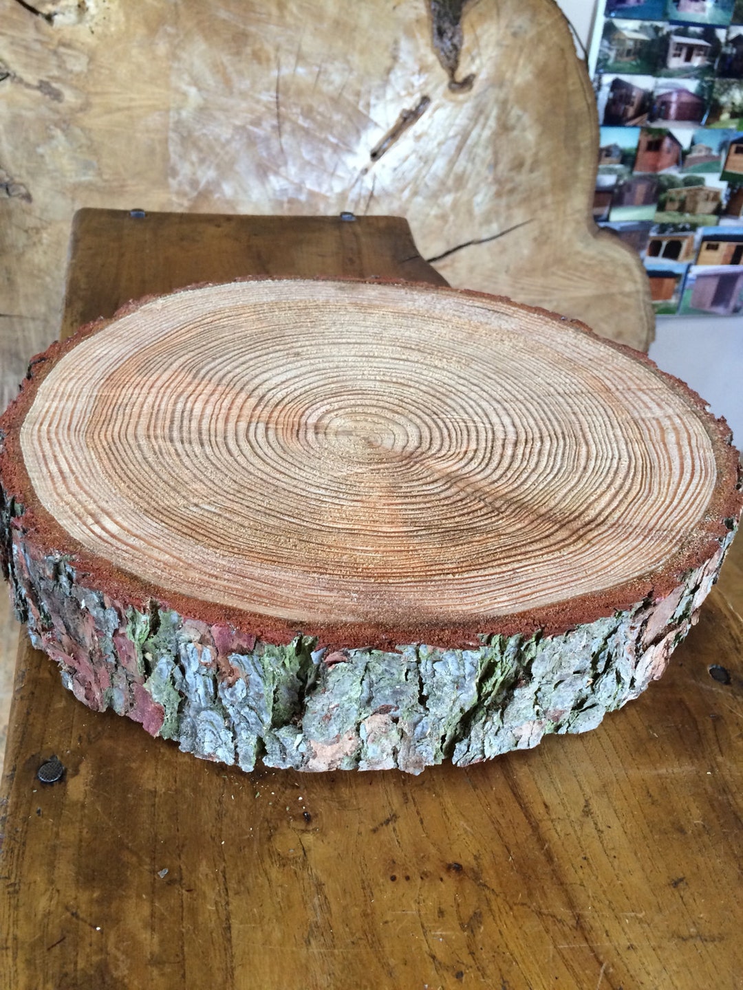 34 ideas de Comedores con tronco madera  decoración de unas, troncos de  madera, muebles de troncos