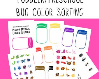Preschool, Toddler, Color Recognition Activity, Bugs, Sorting, Homeschool, Early Learning
