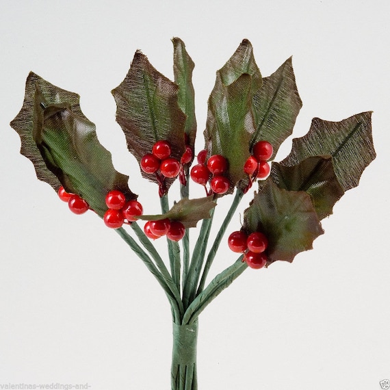  6 Pcs Artificial Berry Stems, Christmas White Holly Berry with  Eucalyptus Branches, Christmas Greenery for Christmas Tree Decorations  Crafts Holiday and Home Decor : Home & Kitchen