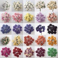Miniature Paper Tea Roses Mulberry Flowers 14mm Card Craft Scrapbooking