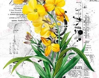 Dress My Craft - Transfer Me - Large A4 Vintage Style Transfer Sheet - Bright Day - 2169