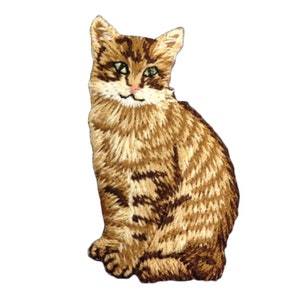 May include: A brown tabby cat with green eyes sitting on a white background. The cat is embroidered with brown and beige thread.