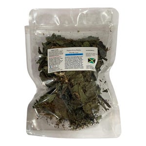 Blue Vervain Herb | Bush Tea | Wildcrafted from Jamaica | Responsible Harvested | 100% Natural | GRINDED LEAVES ONLY!!!