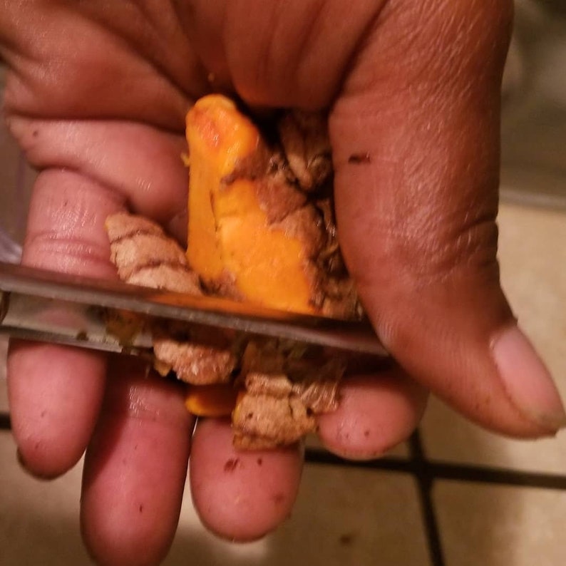May include: Close-up of a hand grating a piece of fresh turmeric root. The turmeric is a vibrant orange color, and the grater is made of stainless steel. The image highlights the preparation of fresh spices for cooking.