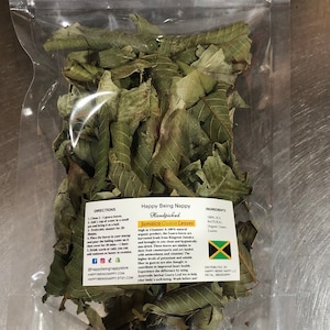Jamaican Guava Leaves - Wildcrafted Jamaican, Air dried, Hand-Picked
