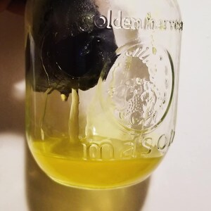 May include: A clear glass mason jar with the words "Golden Harvest" embossed on the side. The jar contains a yellow liquid and a dark object. The jar is partially filled with the yellow liquid. The jar is held by a person.