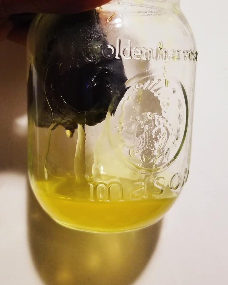 May include: A clear glass mason jar with the words "Golden Harvest" embossed on the side. The jar contains a yellow liquid and a dark object. The jar is partially filled with the yellow liquid. The jar is held by a person.