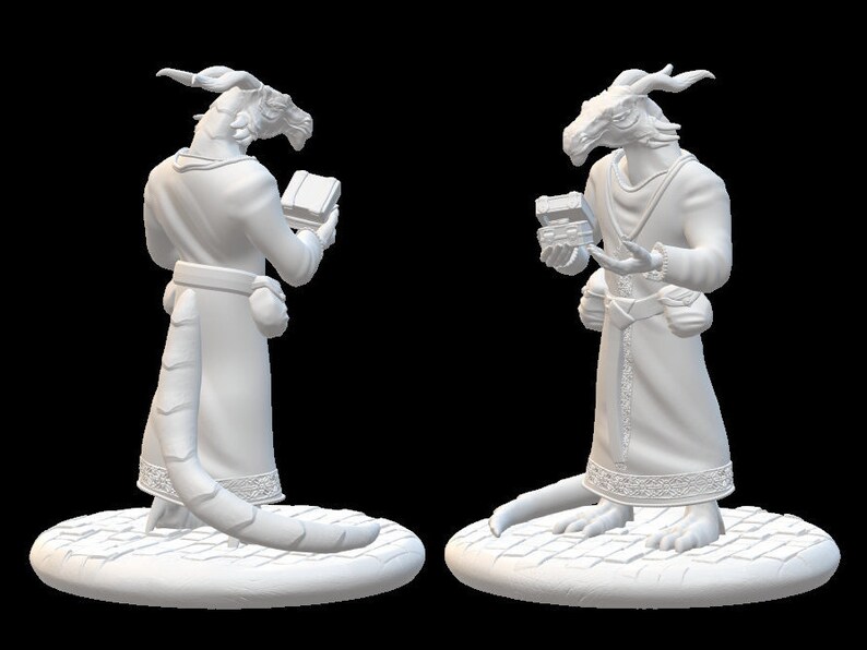 Dragonborn Tax Collector D&D 5e Townsfolk Collection Etsy