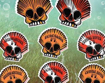 scallop shell scuba diving snorkeling florida decal fly fishing fish sticker Off the Grid John