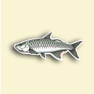 Tarpon fishing decal fly fishing fish sticker