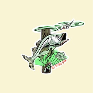 Snook fishing decal fly fishing fish sticker Off the Grid John
