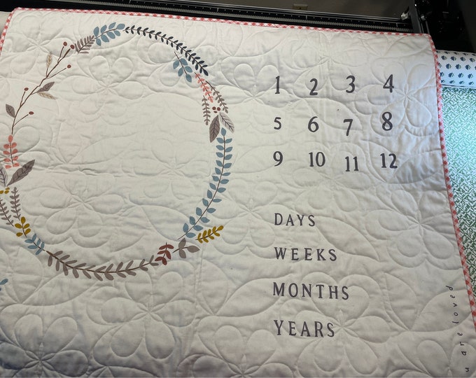 Baby Advent Calendar Quilt, Month by Month baby Milestone Quilt
