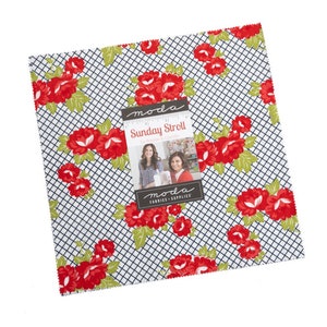 Sunday Stroll  10" Layer Cake by Bonnie & Camille for Moda - 42 Pieces