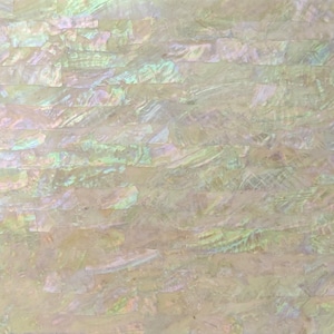 Korean Abalone Shell Adhesive Veneer Sheet (Mother of Pearl Shell) 9.5 x 5.5 inches -A19