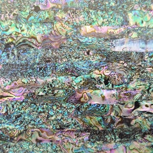 Mexican Abalone Shell with Black Background Adhesive Veneer Sheet (Mother of Pearl Shell) 9.5 x 5.5 inches -A18