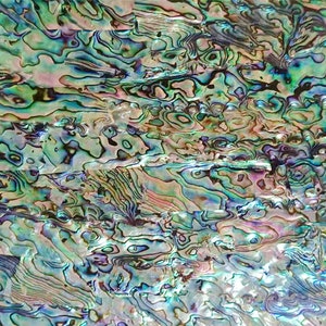 Abalone AA Shell Adhesive Veneer Sheet (Mother of Pearl Shell) 9.5 x 5.5 inches -A3
