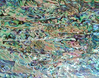 Abalone AA-schaal zelfklevend fineervel (parelmoerschelp) 9,5 x 5,5 inch - A3