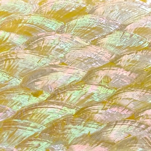 Yellow Haliotis Asinina Shell Adhesive Veneer Sheet (Mother of Pearl Shell) 9.5 x 5.5 inches -A28