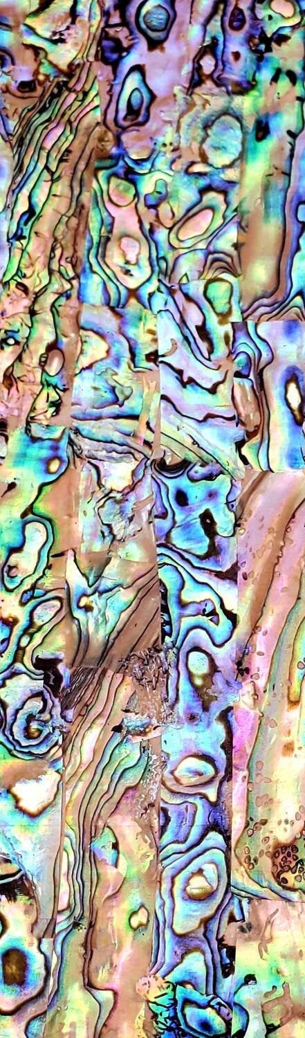 Natural Paua Abalone Shell Adhesive Veneer Sheet Mother of - Etsy