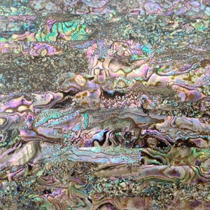 Mexican Abalone Shell Adhesive Veneer Sheet (Mother of Pearl Shell) 9.5 x 5.5 inches -A17
