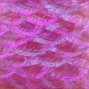 Purple Haliotis Asinina Adhesive Veneer Sheet (Mother of Pearl Shell) 9.5 x 5.5 inches -A42