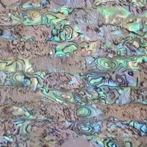 Abalone Shell AB Adhesive Veneer Sheet (Mother of Pearl Shell) 9.5 x 5.5 inches -A15