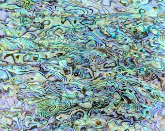 Abalone AAA-schaal zelfklevend fineervel (parelmoerschelp) 9,5 x 5,5 inch - A1