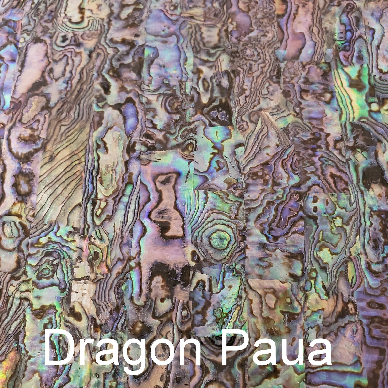 Natural Abalone Shell Sierra Pen Blanks - Etsy Canada