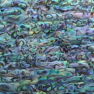Abalone AAA with Black Shell Adhesive Veneer Sheet (Mother of Pearl Shell) 9.5 x 5.5 inches -A2