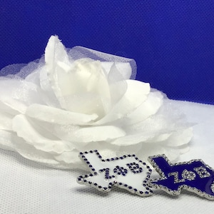 Zeta Phi Beta State of Texas Pin